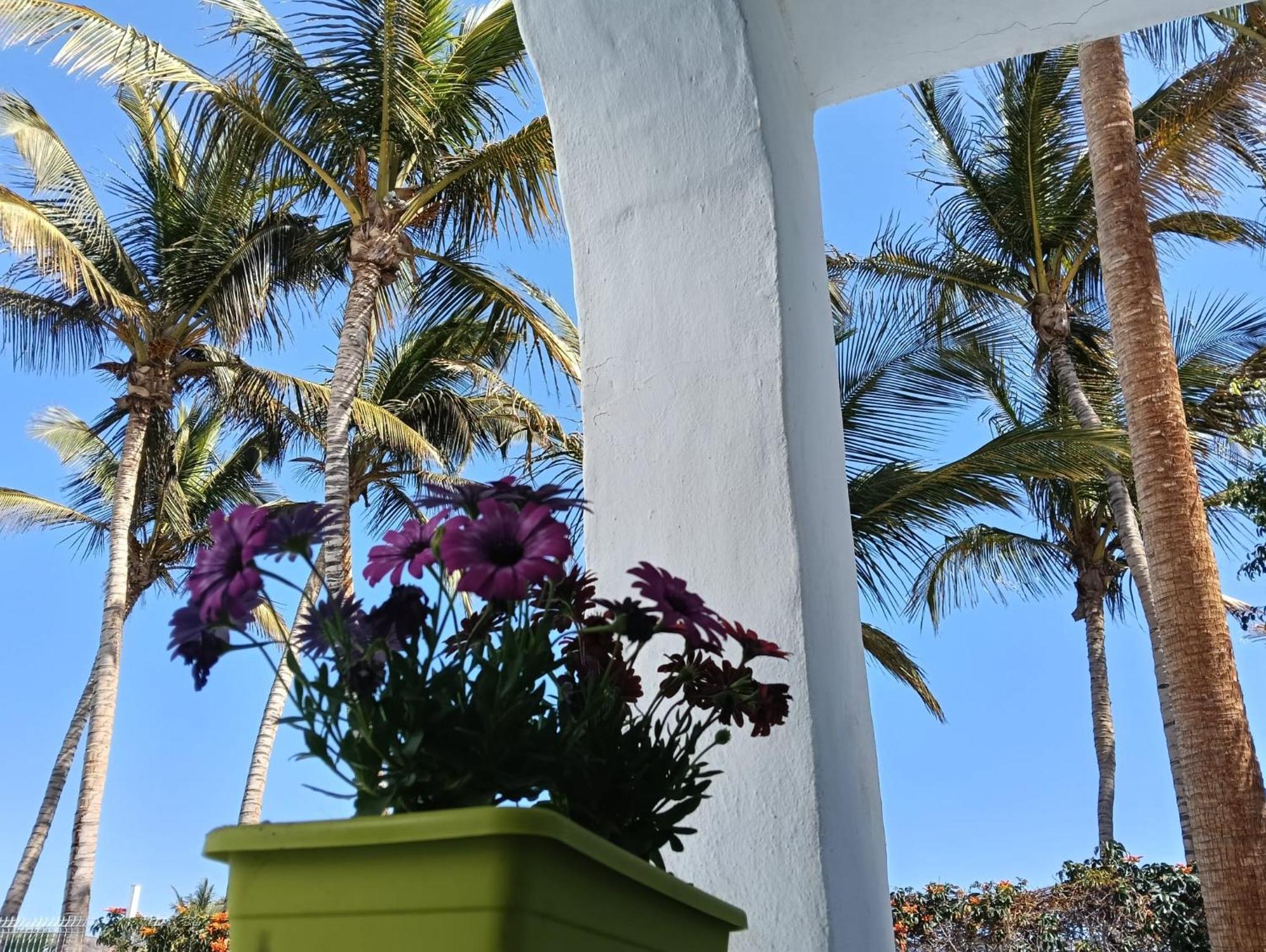 Appartamento Las Palmas Tarajalejo Exteriér fotografie