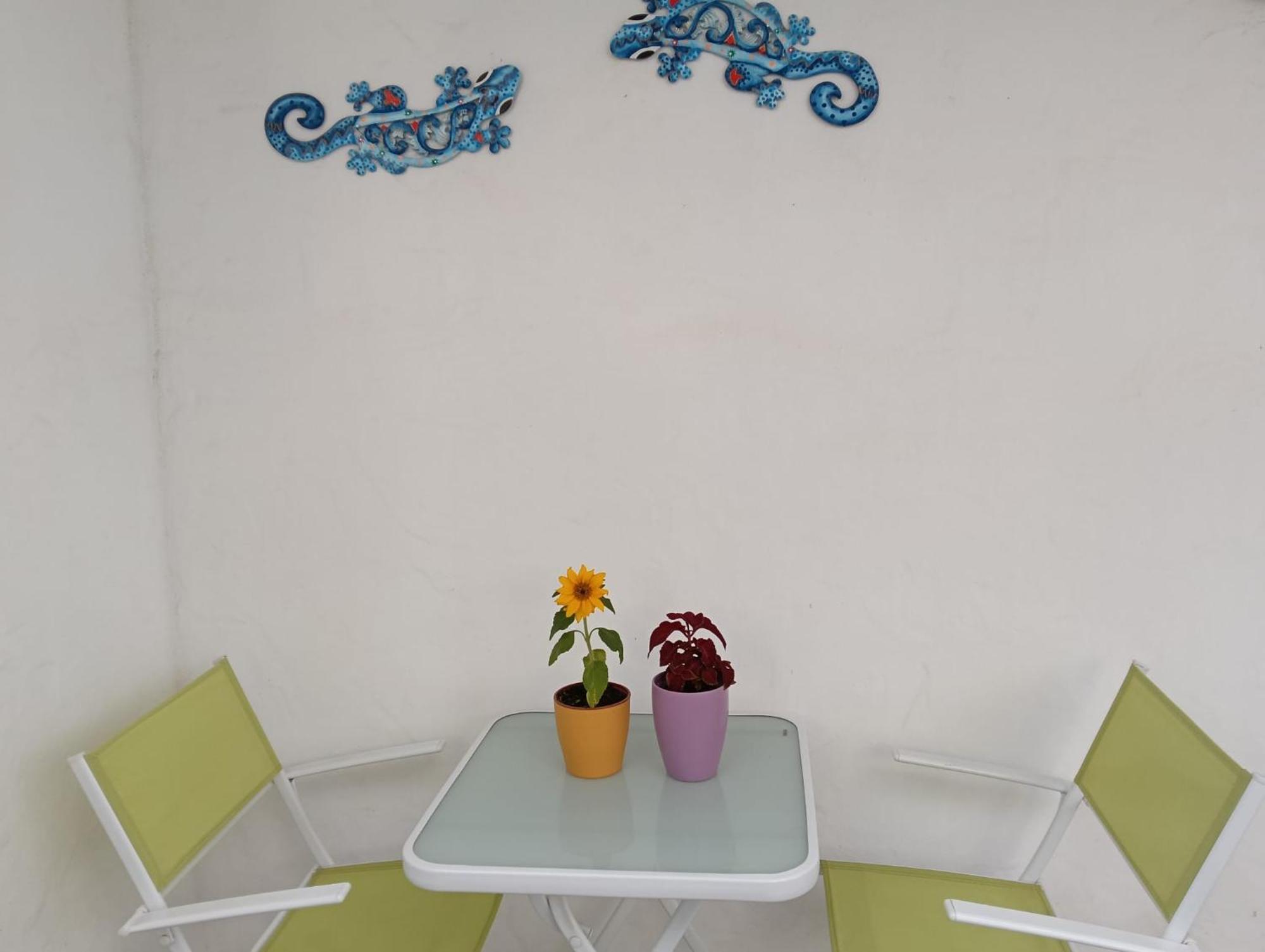 Appartamento Las Palmas Tarajalejo Exteriér fotografie